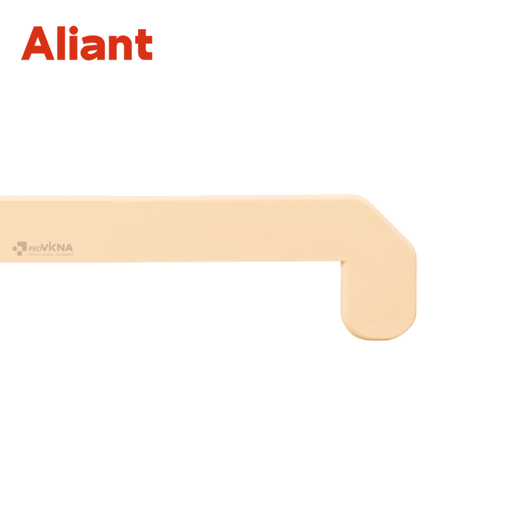 product item
